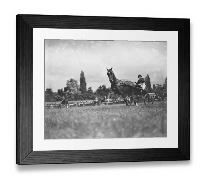 Framed Print : East Berks Maidenhead Horse Show Mrs Raymond Phillips driving her Gipsy Princess 1928 Framed Print : East Berks Maidenhead Horse Show Mrs Raymond Phillips driving her Gipsy Princess 1928