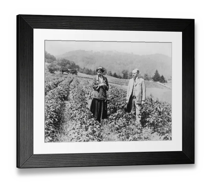 Framed Print : Mr and Mrs Coolidge. 13 August 1923 Framed Print : Mr and Mrs Coolidge. 13 August 1923