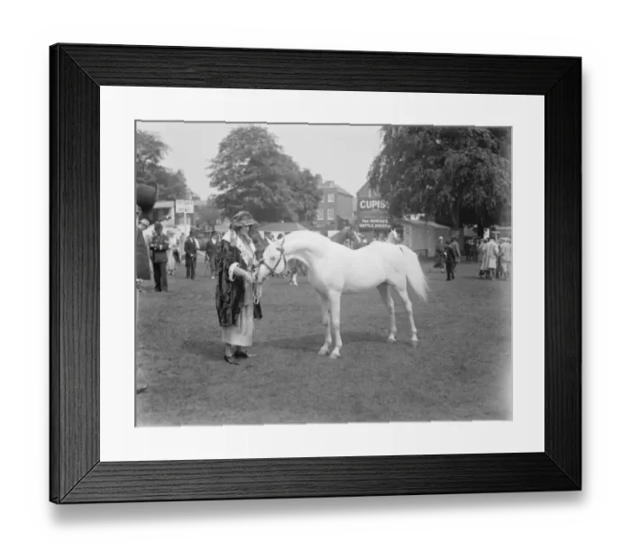 Framed Print : Richmond Horse Show Lady Wentworth with one of her Arab horses 12 June 1924 Framed Print : Richmond Horse Show Lady Wentworth with one of her Arab horses 12 June 1924