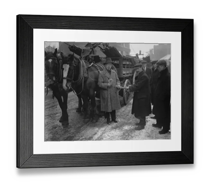 Framed Print : London horses and snowfall. Captain Jansen demonstrating the use of the snowshoe Framed Print : London horses and snowfall. Captain Jansen demonstrating the use of the snowshoe