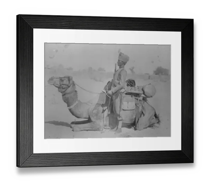 Framed Print : The Prince of Wales guard of honour. The Prince of Wales is spending the week end at Bikaner Framed Print : The Prince of Wales guard of honour. The Prince of Wales is spending the week end at Bikaner