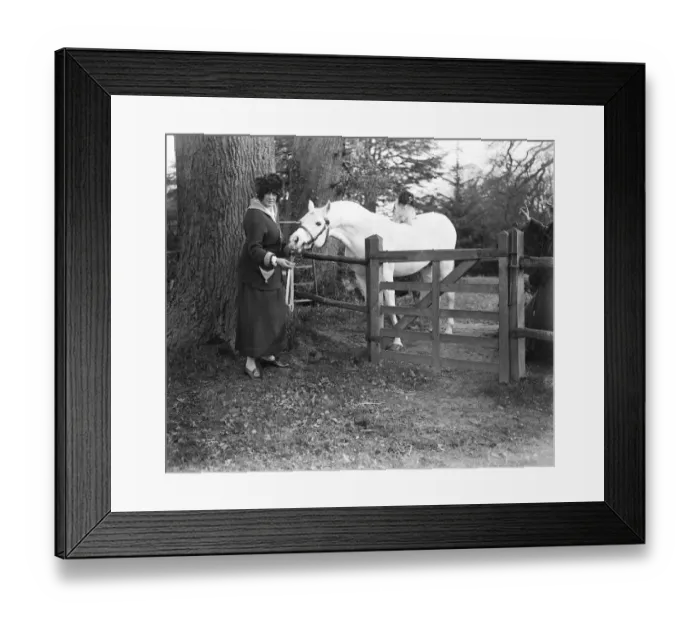 Framed Print : Lady Wentworths Arab Thouroughbreds Lady Wentworth visiting her magnificent Arab Framed Print : Lady Wentworths Arab Thouroughbreds Lady Wentworth visiting her magnificent Arab