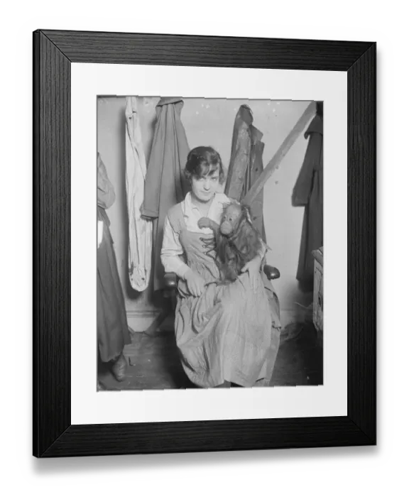 Framed Print : Live toys at Derry and Toms Betty, an affectionate orangoutang, awaits an owner Framed Print : Live toys at Derry and Toms Betty, an affectionate orangoutang, awaits an owner