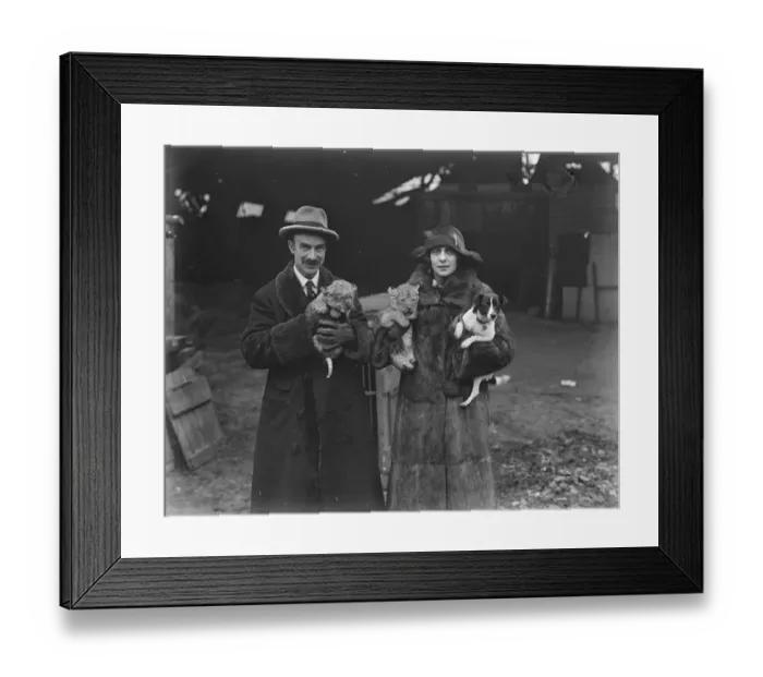 Framed Print : New lion cubs born at private menagerie of Mr G Tyrwhitt Drake at Maidstone. 16 Framed Print : New lion cubs born at private menagerie of Mr G Tyrwhitt Drake at Maidstone. 16
