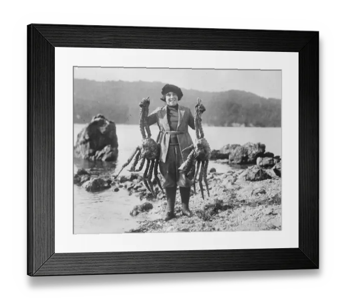 Framed Print : Arctic expedition of Captain F E Kleinschmidt. Mrs Kleinschmidt with two giant Alaskan crabs Framed Print : Arctic expedition of Captain F E Kleinschmidt. Mrs Kleinschmidt with two giant Alaskan crabs