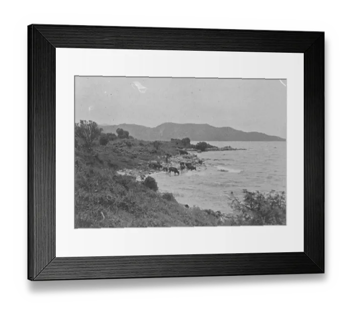 Framed Print : Belgian Congo Rwanda, The banks of Lake Kivu August 1921