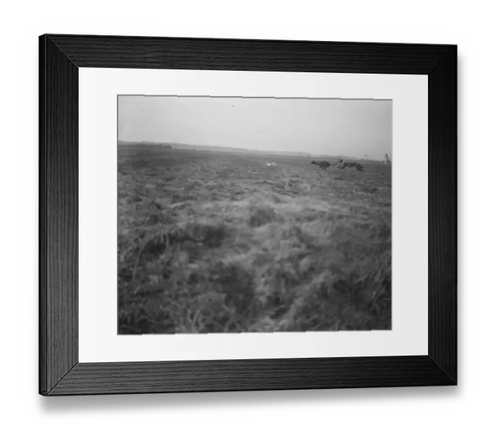 Framed Print : The Waterloo Cup at Altcar The race in progress between between Happy Gallop Framed Print : The Waterloo Cup at Altcar The race in progress between between Happy Gallop
