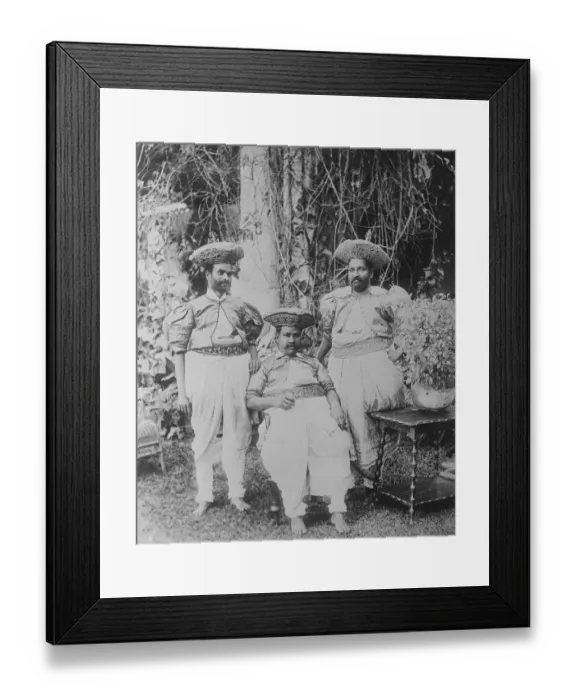 Framed Print : The visit of the Prince of Wales to Ceylon. Some of the wonders of the Island Framed Print : The visit of the Prince of Wales to Ceylon. Some of the wonders of the Island