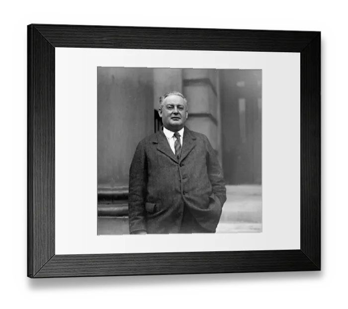 Framed Print : Lt Col Hon M. S. Sullivan, of Newfoundland. 25 November 1924