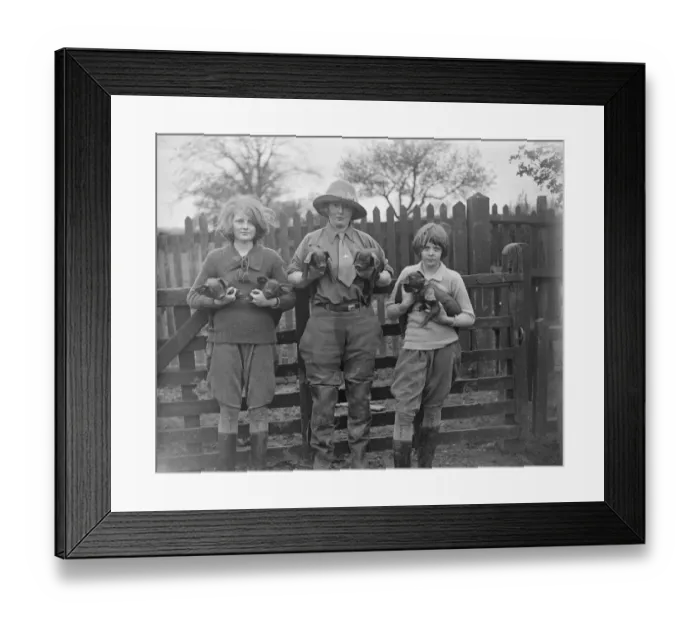 Framed Print : Viscountess starts poultry farm at London Road, Bromley Common, Kent. The Hon Framed Print : Viscountess starts poultry farm at London Road, Bromley Common, Kent. The Hon