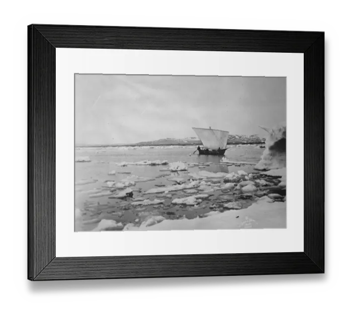 Framed Print : Mildest winter ever experienced in Alaska. A picture recently taken in the Bering sea Framed Print : Mildest winter ever experienced in Alaska. A picture recently taken in the Bering sea