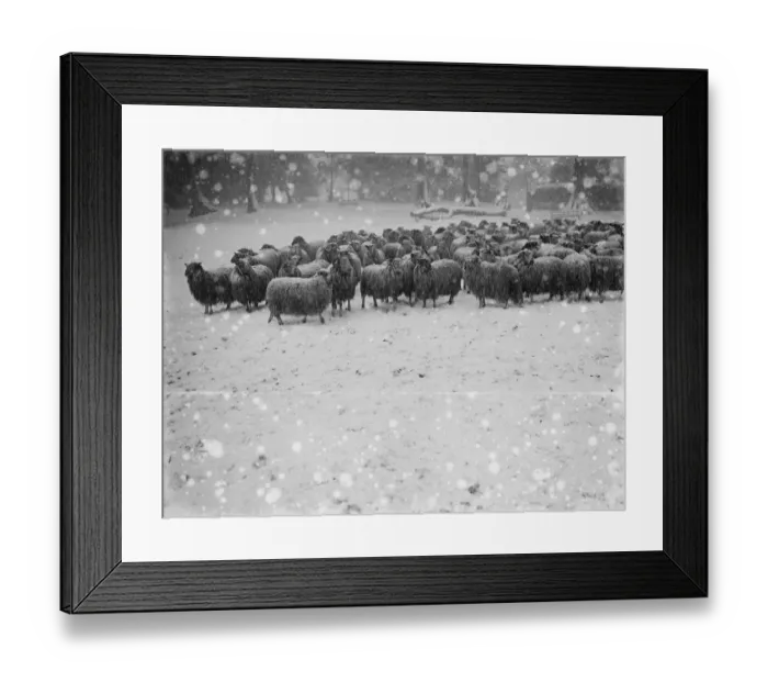 Framed Print : Snow scenes at Hampstead Heath December 1920 Framed Print : Snow scenes at Hampstead Heath December 1920
