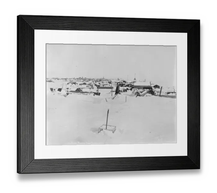 Framed Print : In the grip of disease. A thrilling race against death has started at Nenana Framed Print : In the grip of disease. A thrilling race against death has started at Nenana