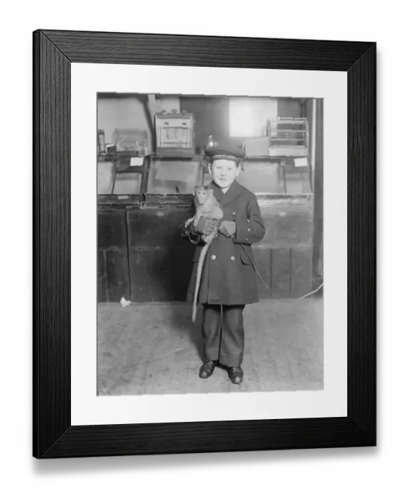 Framed Print : Live toys at Derry and Toms A little sailor boy with his christmas present in advance