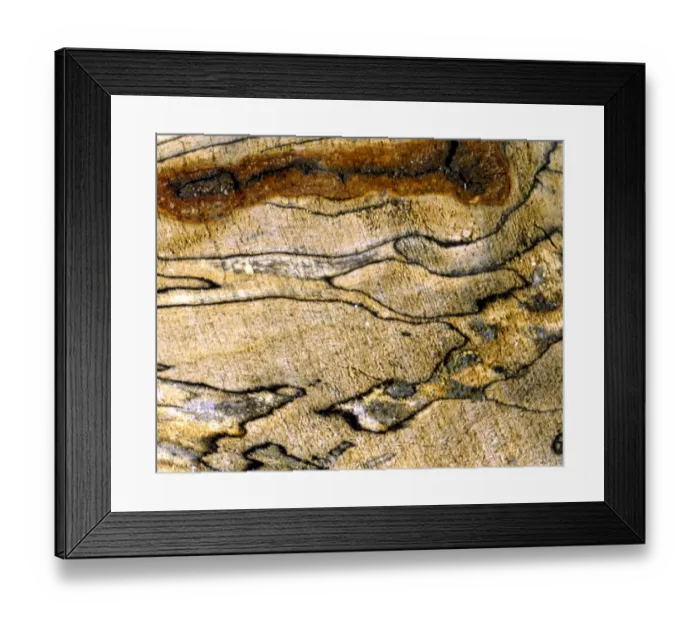 Framed Print : Texture - abstract