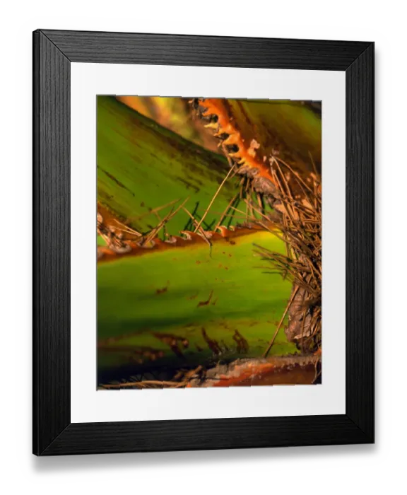 Framed Print : Texture - abstract Framed Print : Texture - abstract
