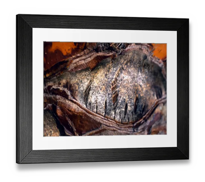 Framed Print : Texture - abstract Framed Print : Texture - abstract