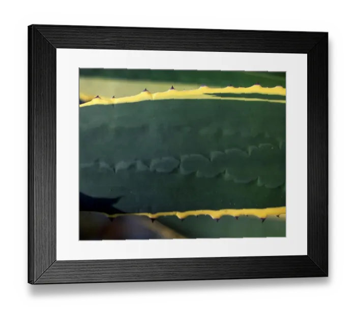 Framed Print : Texture - abstract Framed Print : Texture - abstract