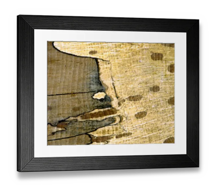 Framed Print : Texture - abstract