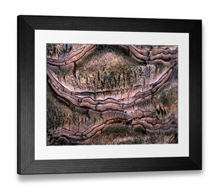 Framed Print : Texture - abstract Framed Print : Texture - abstract