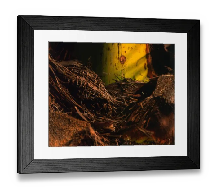 Framed Print : Texture - abstract