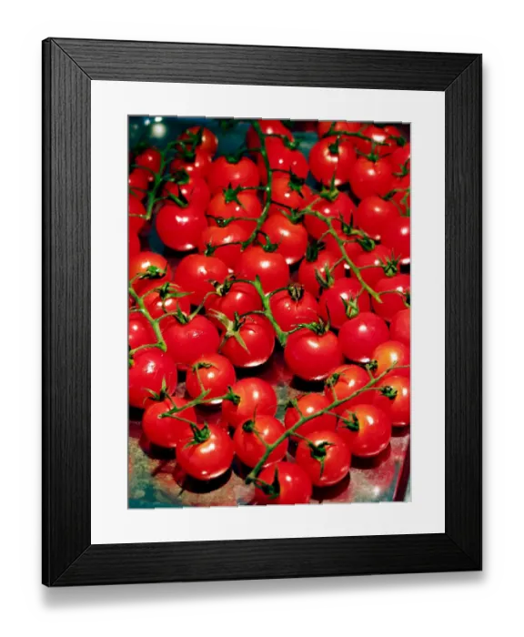 Framed Print : Cherry tomatoes on the vine on baking sheet before roasting in oven. credit: Marie-Louise Framed Print : Cherry tomatoes on the vine on baking sheet before roasting in oven. credit: Marie-Louise