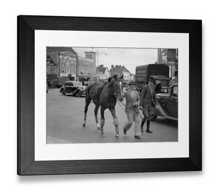 Framed Print : License ( The Kings Horse ) arriving at Epsom Racecourse, Surrey 31 May 1938 Framed Print : License ( The Kings Horse ) arriving at Epsom Racecourse, Surrey 31 May 1938
