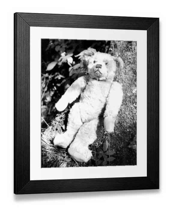Framed Print : A A Milnes famous teddy bear - Winnie-the-Pooh Framed Print : A A Milnes famous teddy bear - Winnie-the-Pooh