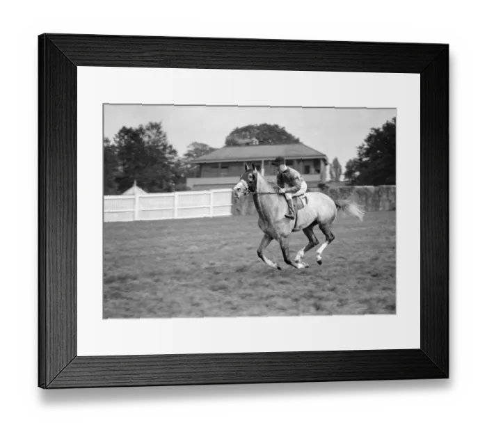 Framed Print : Gatwick races, Sussex, England. Grey Carey ridden by T Lowrey