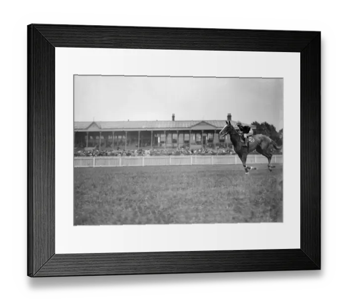 Framed Print : Gatwick Racecourse, Sussex, England. Letsgo ridden by M Hunter, cantering Framed Print : Gatwick Racecourse, Sussex, England. Letsgo ridden by M Hunter, cantering