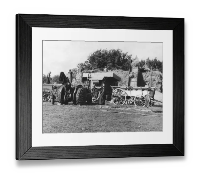 Framed Print : Agricultural Machinery : Harvesting in Sussex, England - Threshing operations on a small holding Framed Print : Agricultural Machinery : Harvesting in Sussex, England - Threshing operations on a small holding