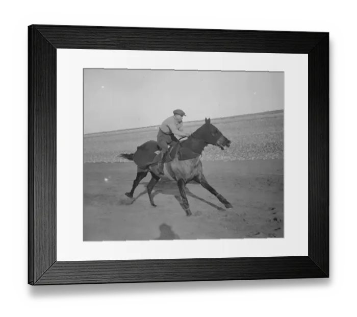 Framed Print : Four racehorses taking the cure in the surf at Seaford. Master Orange. 10 February Framed Print : Four racehorses taking the cure in the surf at Seaford. Master Orange. 10 February