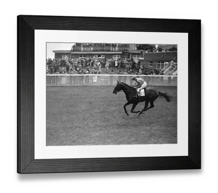 Framed Print : Epigram at Goodwood Racecourse, Sussex, England. 1937 Framed Print : Epigram at Goodwood Racecourse, Sussex, England. 1937