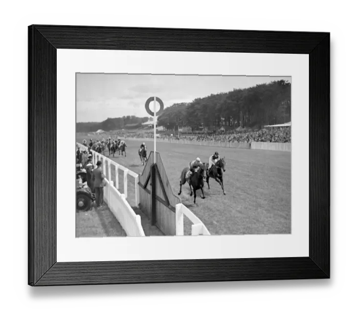 Framed Print : Goodwood Sussex England Finish of Charlton Welter Handicap Saint Andrews Framed Print : Goodwood Sussex England Finish of Charlton Welter Handicap Saint Andrews