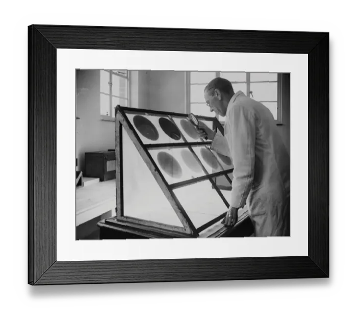 Framed Print : Away from Londons atmospheric sale of American grand members of the staff of Framed Print : Away from Londons atmospheric sale of American grand members of the staff of
