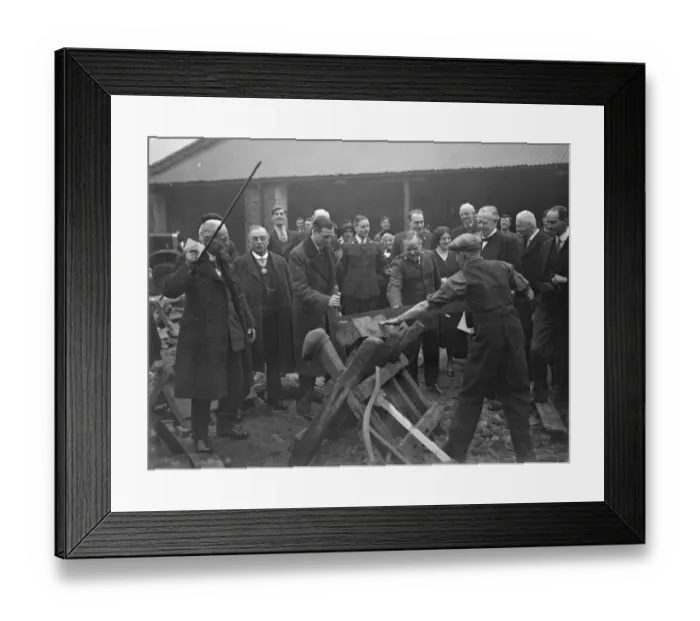 Framed Print : Prince George tries his hand at sawing wood. Prince George helping to saw wood Framed Print : Prince George tries his hand at sawing wood. Prince George helping to saw wood