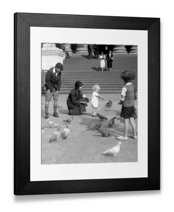 Framed Print : Children feeding the pigeons by the steps of St Pauls Cathedral, Saint Pauls Church Yard Framed Print : Children feeding the pigeons by the steps of St Pauls Cathedral, Saint Pauls Church Yard
