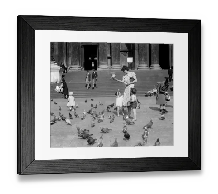 Framed Print : Children feeding the pigeons by the steps of St Pauls Cathedral, Saint Pauls Church Yard Framed Print : Children feeding the pigeons by the steps of St Pauls Cathedral, Saint Pauls Church Yard