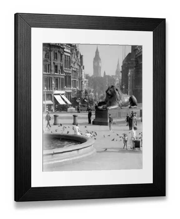 Framed Print : Scenes in Trafalgar Square with Big Ben in backgound. Trafalgar Square, London Framed Print : Scenes in Trafalgar Square with Big Ben in backgound. Trafalgar Square, London