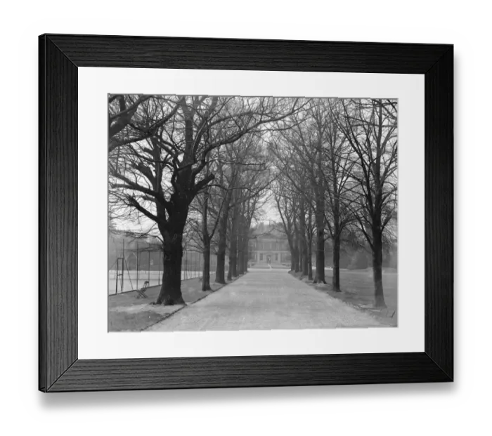 Framed Print : At the Ranelagh Club, Barnes, West London, the avenue of trees leading up to the Club House