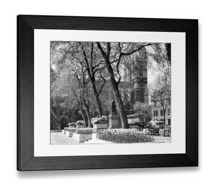 Framed Print : Westminster Abbey from Parliament Square, Westminster, London, England, UK Framed Print : Westminster Abbey from Parliament Square, Westminster, London, England, UK
