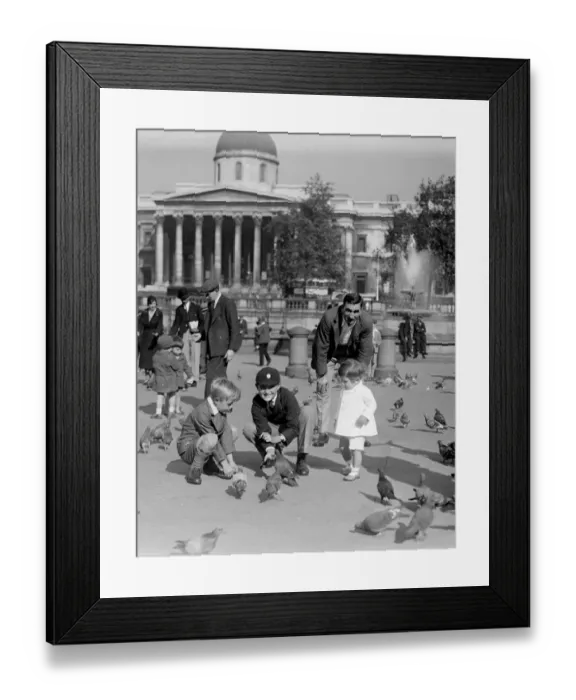 Framed Print : Children feeding the pigeons in Trafalgar Square with the columns of the National Framed Print : Children feeding the pigeons in Trafalgar Square with the columns of the National