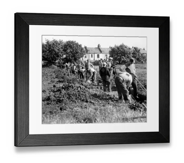 Framed Print : German prisoners have started work on the London County Council housing estate at Vendant - lane Framed Print : German prisoners have started work on the London County Council housing estate at Vendant - lane