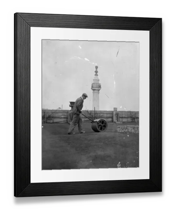 Framed Print : Rolling along on a London roof putting green. A green roller is being used Framed Print : Rolling along on a London roof putting green. A green roller is being used