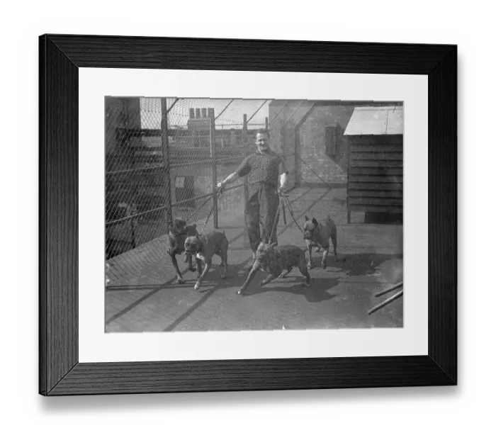 Framed Print : Eleven highly skilled visitors from the Continent are confined to the roof of a large Framed Print : Eleven highly skilled visitors from the Continent are confined to the roof of a large