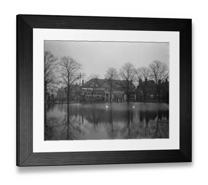 Framed Print : Swans on a flooded field in Longlands. 20 January 1939 Framed Print : Swans on a flooded field in Longlands. 20 January 1939
