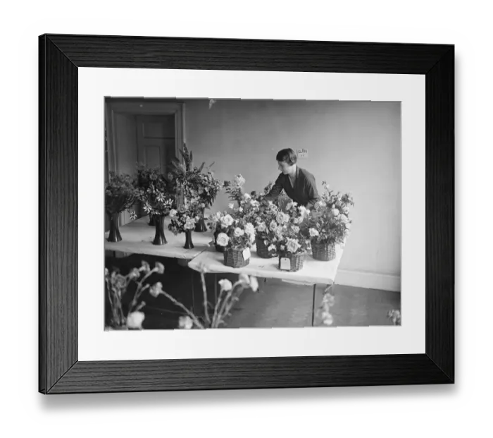 Framed Print : Beauty among the roses. One of the many beautiful exhibits at the Port of London Framed Print : Beauty among the roses. One of the many beautiful exhibits at the Port of London