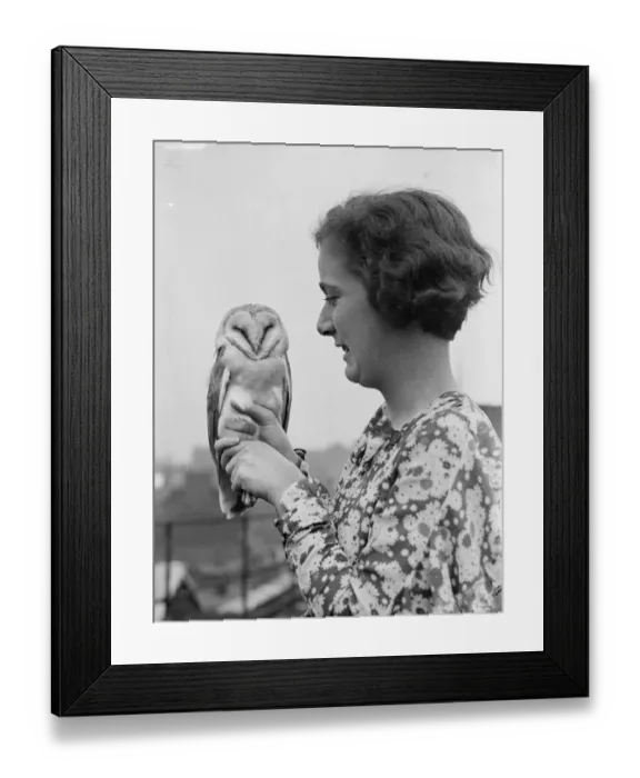 Framed Print : The country visitor!. Barn owl found in London warehouse. A strange visitor to