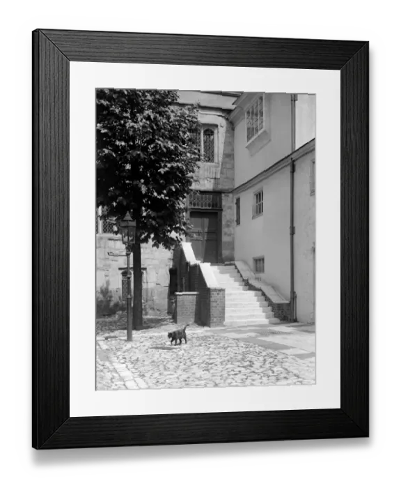 Framed Print : A cat in Abbot Courtyard Westminster Abbey, Westminster, London, England, UK Framed Print : A cat in Abbot Courtyard Westminster Abbey, Westminster, London, England, UK
