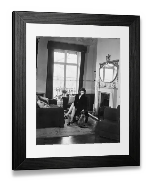 Framed Print : Margot Fonteyn at home. Chee, Miss Fonteyns Siamese cat, looks blissfully happy